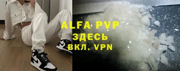 прущие грибы Каменка