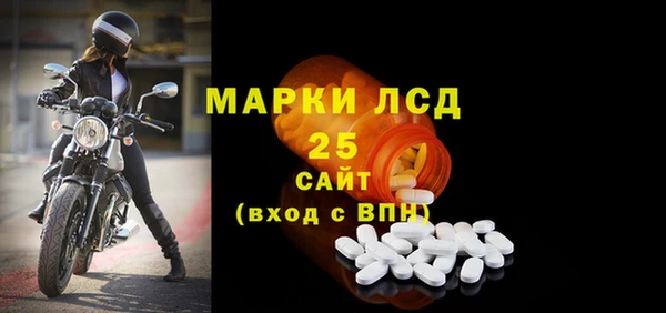 прущие грибы Каменка