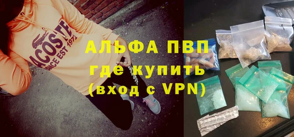 прущие грибы Каменка