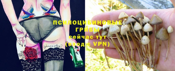 прущие крисы Карталы