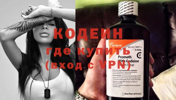 прущие грибы Каменка