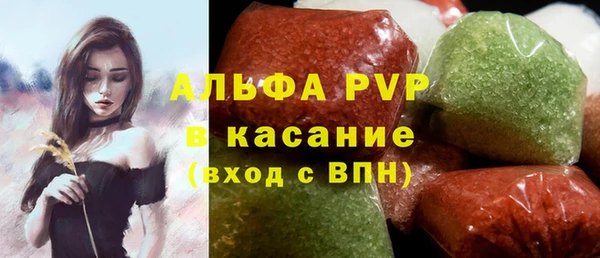 прущие грибы Каменка