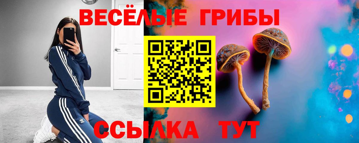 Якутск  Псилоцибиновые грибы Psilocybe  Вход с VPN 